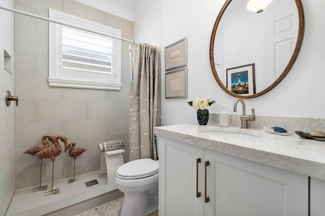 bathroom featuring toilet, a shower with curtain, and vanity