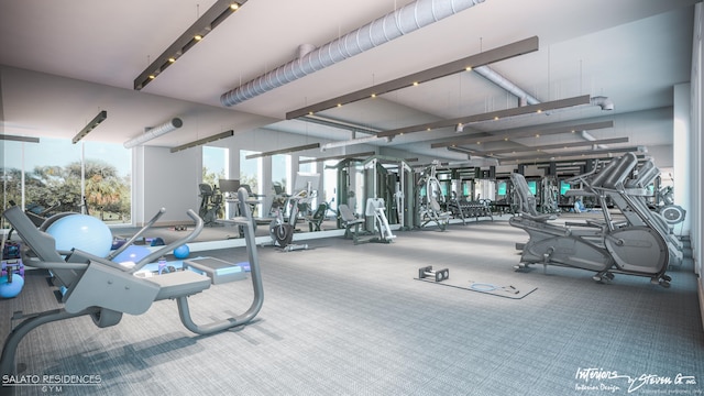 exercise room featuring carpet flooring