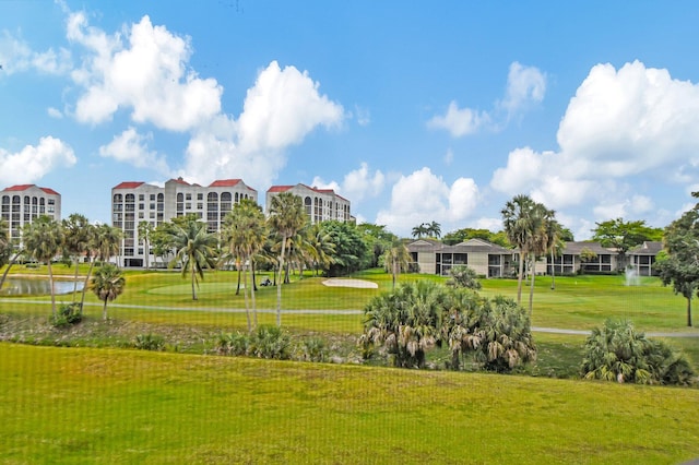 view of community with a yard