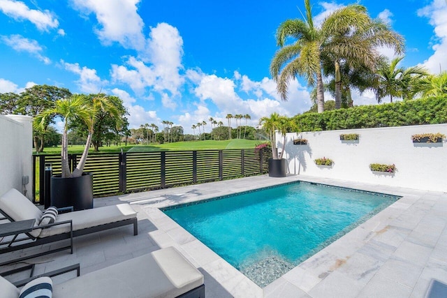 view of pool featuring a patio and area for grilling