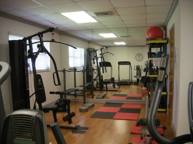 exercise room with hardwood / wood-style floors, a paneled ceiling, and ornamental molding