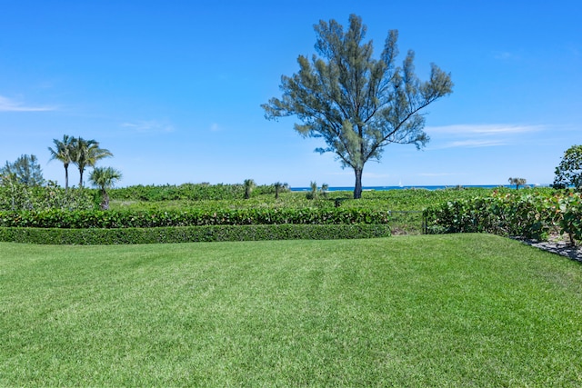 view of yard with a rural view