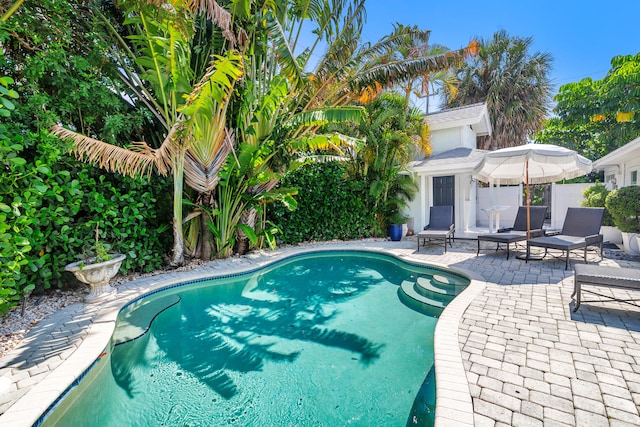 view of swimming pool featuring a patio