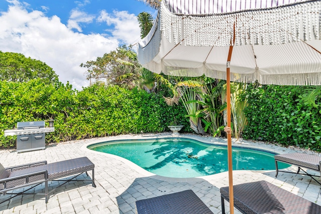 view of pool featuring a patio area