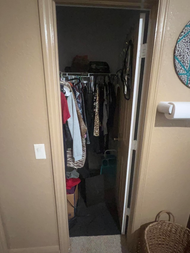 view of walk in closet