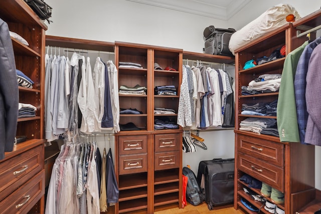 view of spacious closet