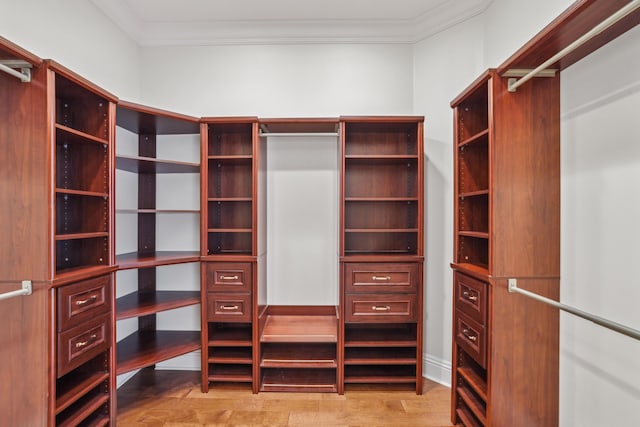 walk in closet with light wood-type flooring