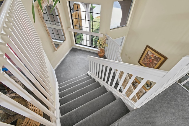 stairs featuring a high ceiling and carpet flooring