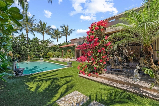 view of pool with a lawn and a patio