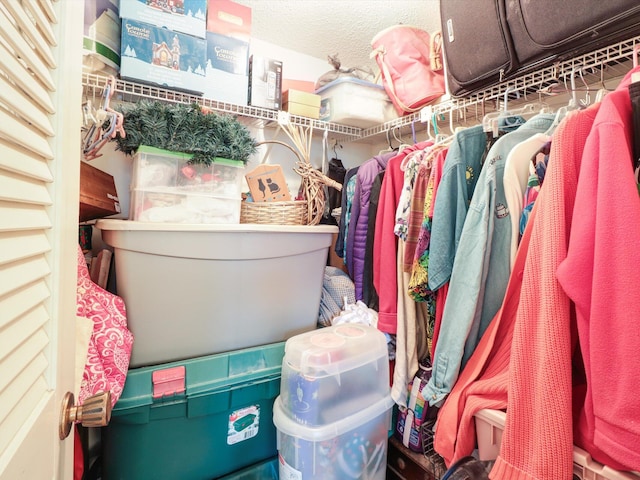 view of spacious closet