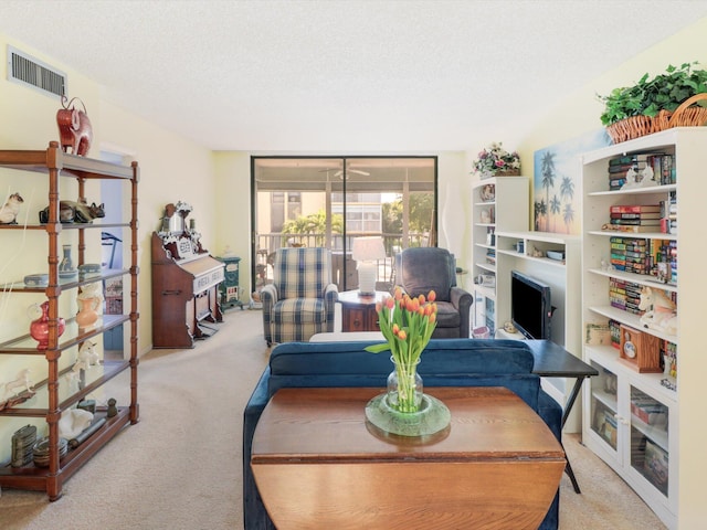 living room featuring carpet flooring and a textured ceiling