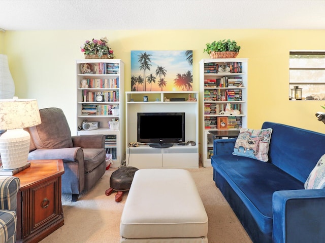 living room featuring a textured ceiling and carpet