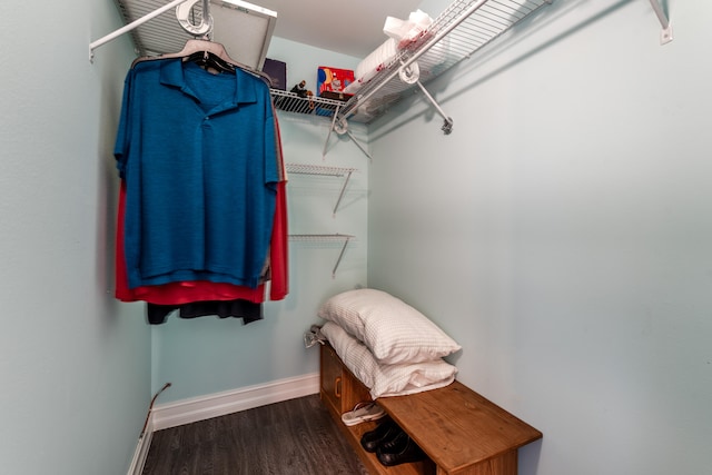 walk in closet with hardwood / wood-style flooring