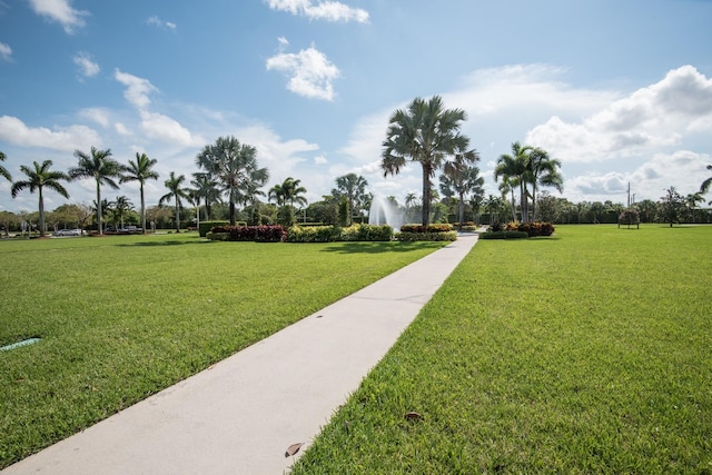 view of property's community with a yard