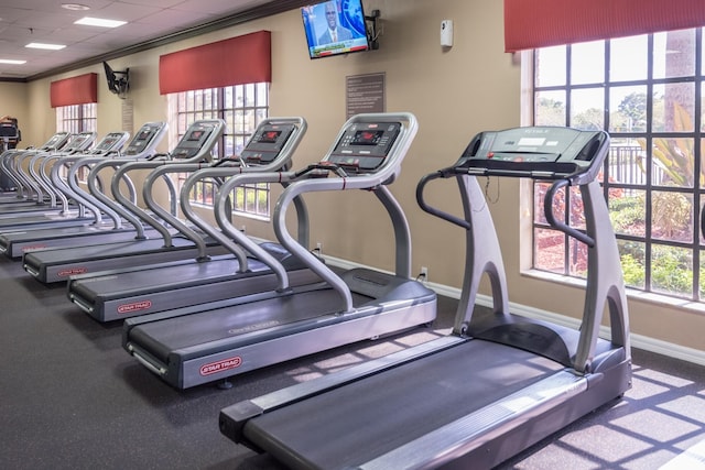 exercise room with a wealth of natural light, crown molding, and carpet flooring