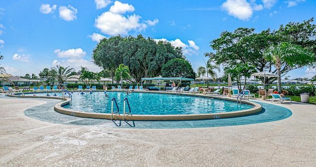 view of pool featuring a patio