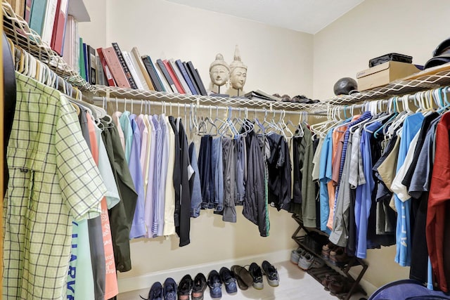 view of spacious closet