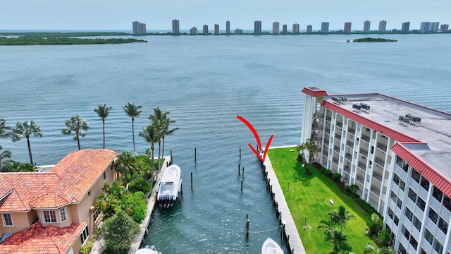 view of water feature with a dock