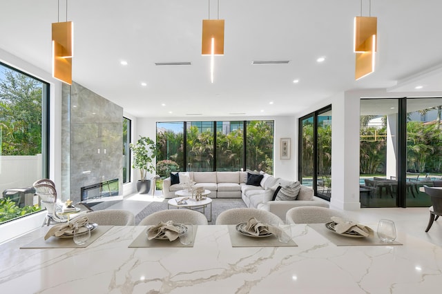 living room featuring a wall of windows and a healthy amount of sunlight