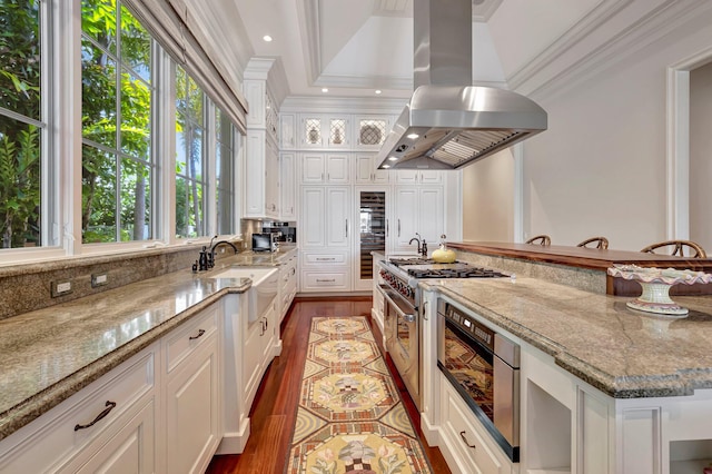 kitchen with dark hardwood / wood-style floors, island range hood, double oven range, and white cabinetry