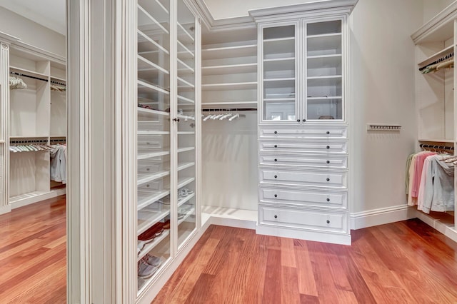 walk in closet with hardwood / wood-style flooring