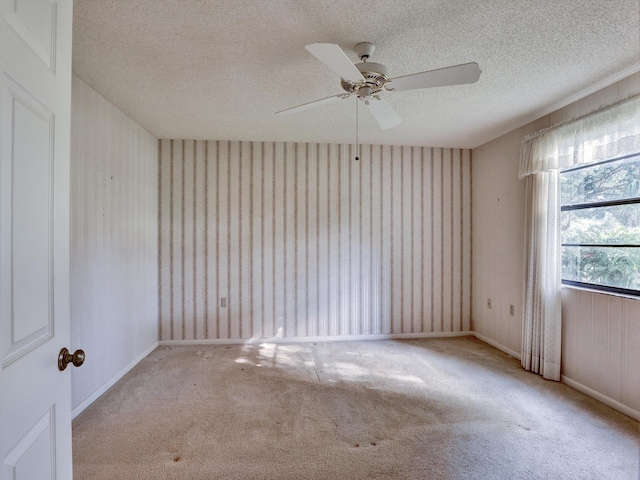 empty room with ceiling fan, carpet, and a textured ceiling