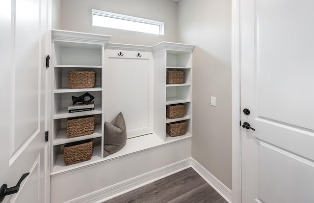 mudroom with dark hardwood / wood-style flooring