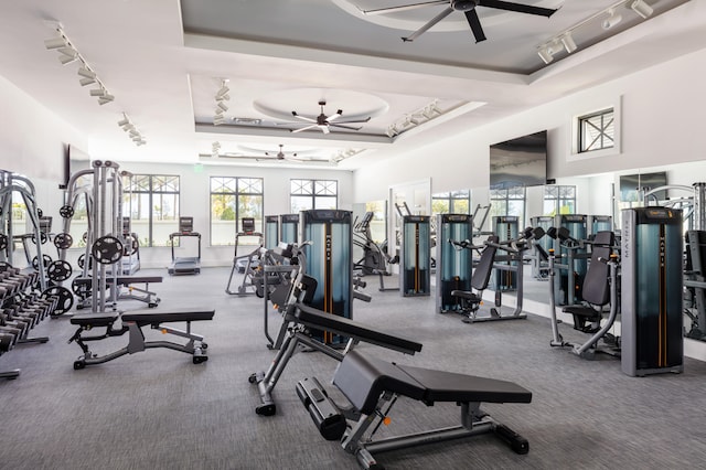 gym featuring carpet floors, a tray ceiling, and track lighting