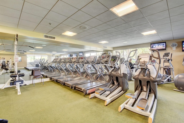 workout area featuring a drop ceiling and carpet floors