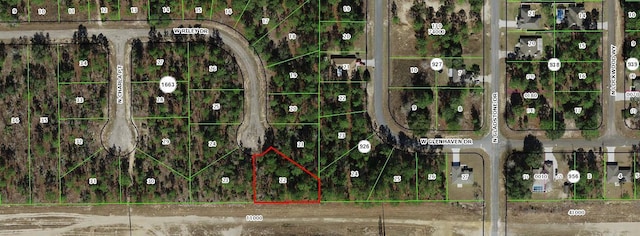 1005 W Riley Dr, Citrus Springs FL, 34434 land for sale