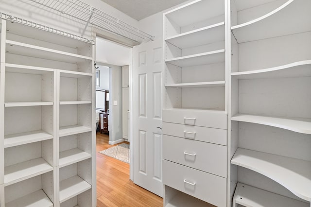 spacious closet with hardwood / wood-style flooring