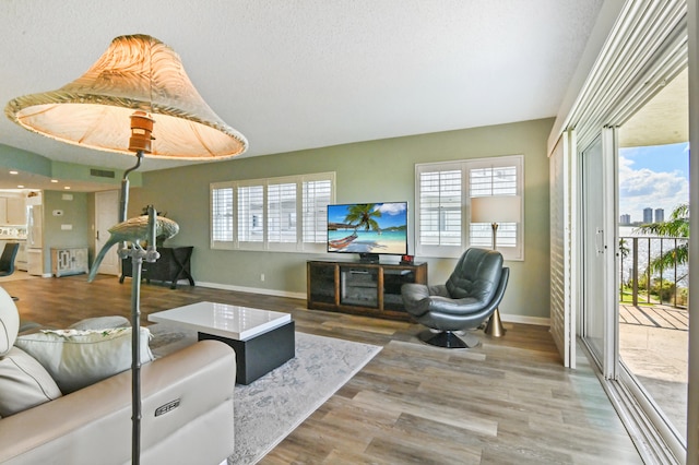 living room featuring a textured ceiling and wood-type flooring