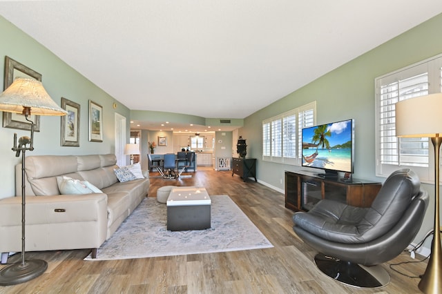 living room featuring wood-type flooring