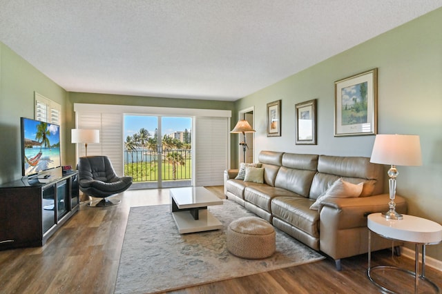 living room with a textured ceiling and dark hardwood / wood-style flooring