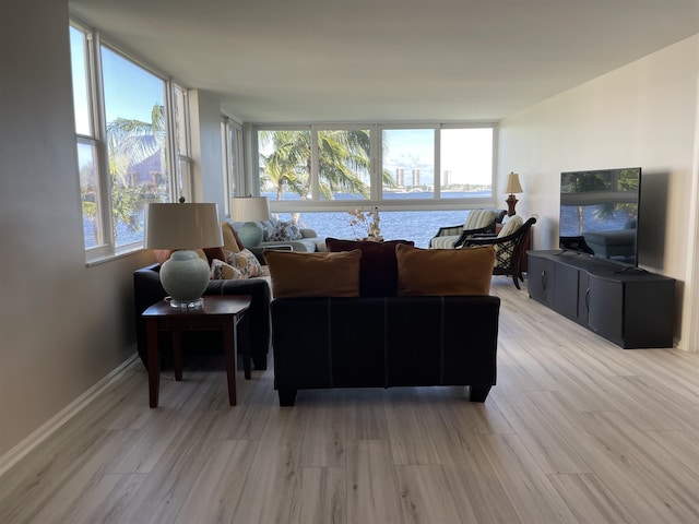 living room featuring light wood-type flooring