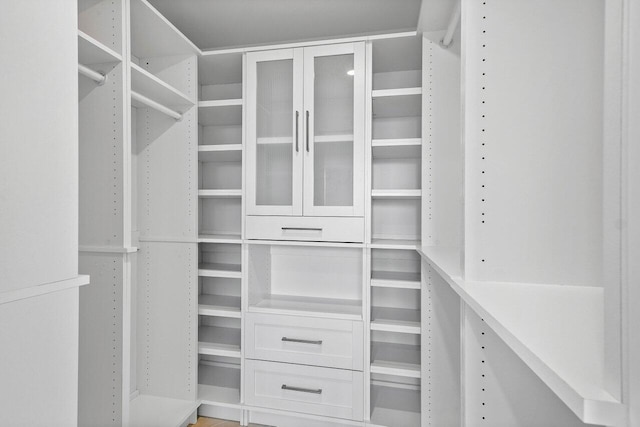 view of spacious closet