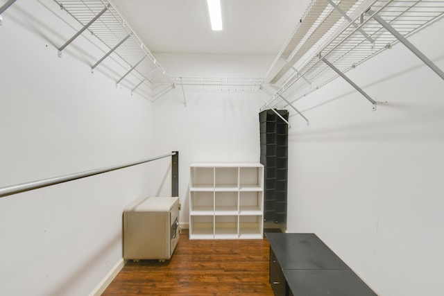 spacious closet with dark wood-type flooring