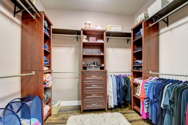 spacious closet featuring dark hardwood / wood-style floors