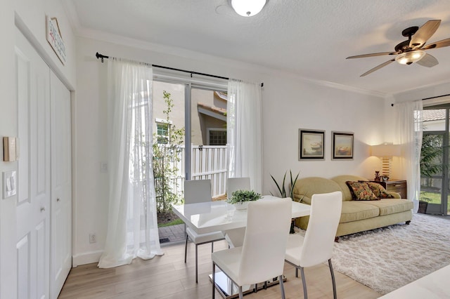 dining room with crown molding, light hardwood / wood-style flooring, and ceiling fan