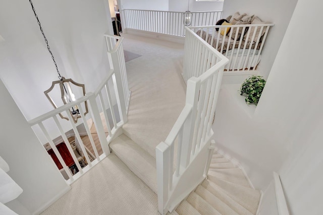 stairs with carpet floors