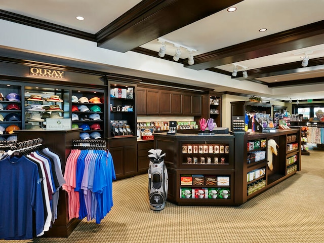 interior space with rail lighting, ornamental molding, light colored carpet, and beam ceiling