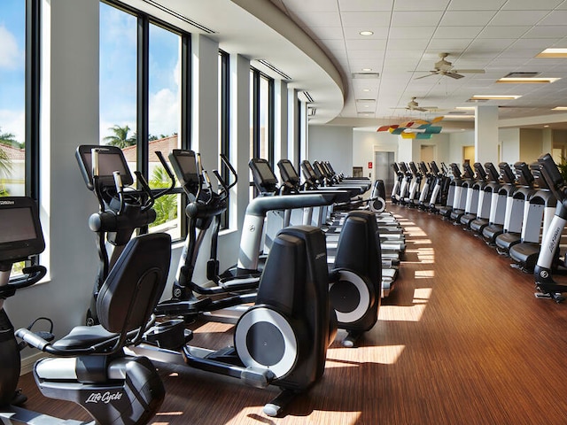 gym featuring a drop ceiling and ceiling fan