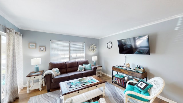 living room featuring wood-type flooring and crown molding