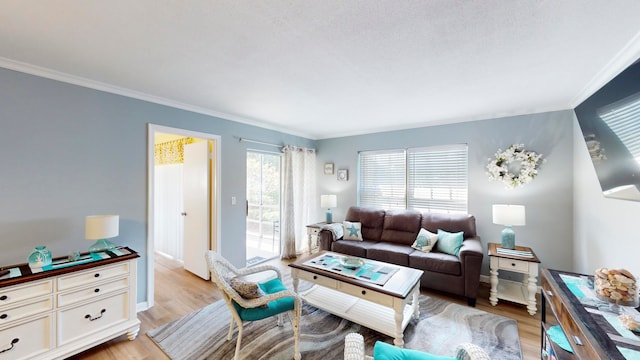 living room with ornamental molding and light hardwood / wood-style flooring