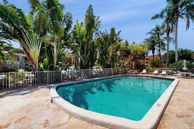 view of pool featuring a patio