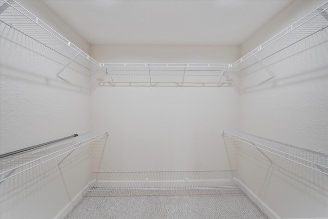 spacious closet with carpet flooring