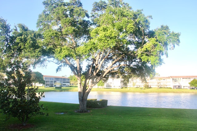 view of water feature