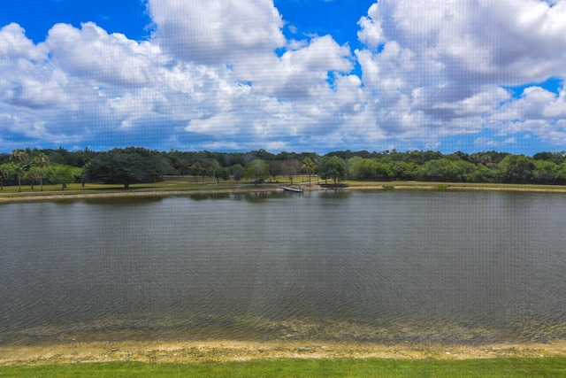 view of water feature