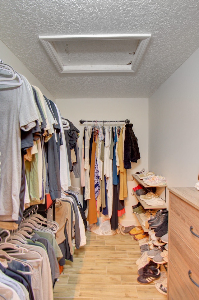 spacious closet with light wood-type flooring