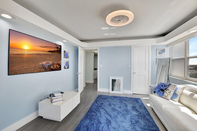 living room featuring hardwood / wood-style floors